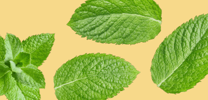 Peppermint