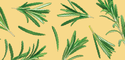Rosemary