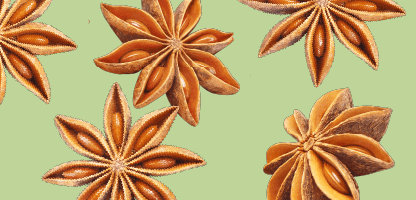 Star Anise